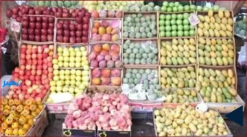 أسعار الفاكهة.. تحديث أسعار اليوم الأحد في أسواق الأقصر حسب الجديد